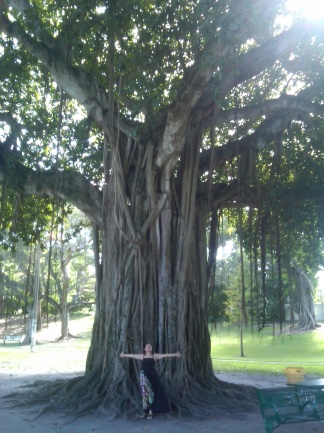 Foto Arbol for Relaxarion Therapy